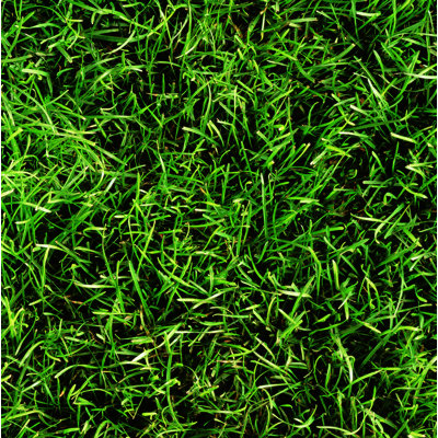Carreau de céramique 8 po x 8 po Grass