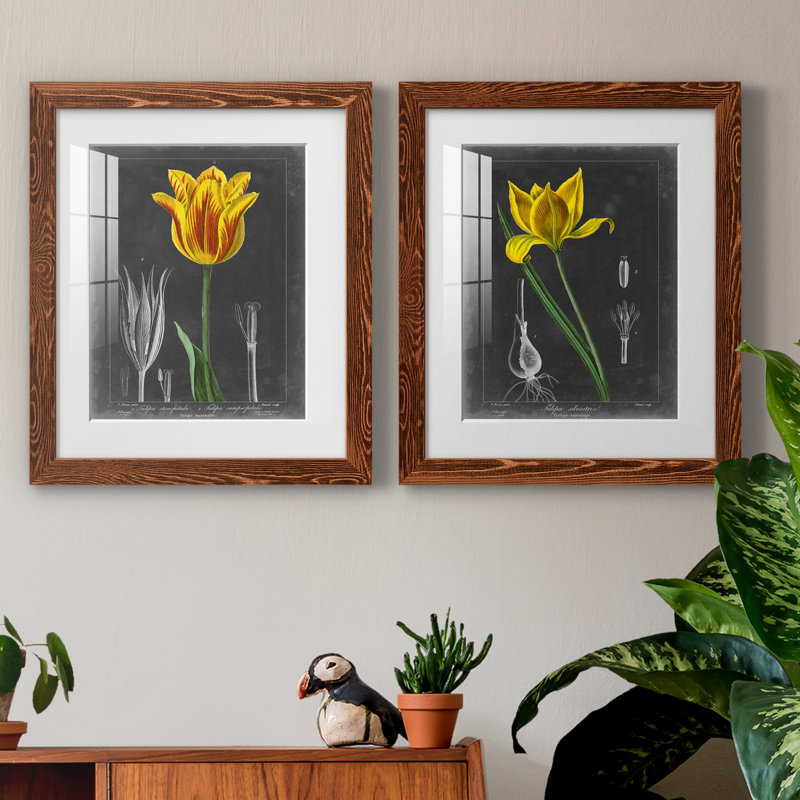 «Midnight Tulip», reproduction encadrée prémium, H 24 po x l 36 po x P 1,5 po, Papier avec cadre érable, Blanc