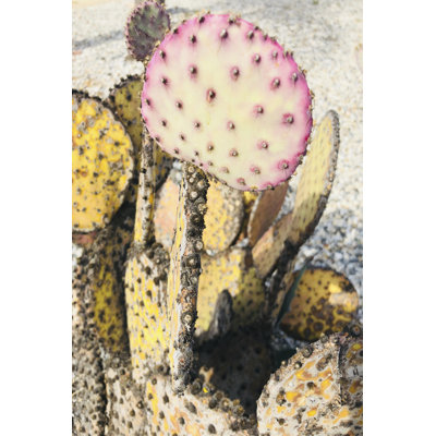 Pink Yellow Cactus II by Irena Orlov - Wrapped Canvas Print