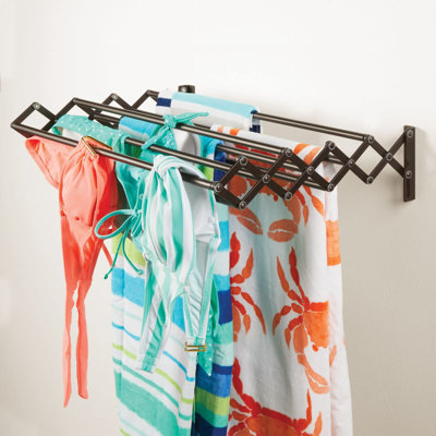 Dajuan 60cm Wall Mounted Clothes Rack