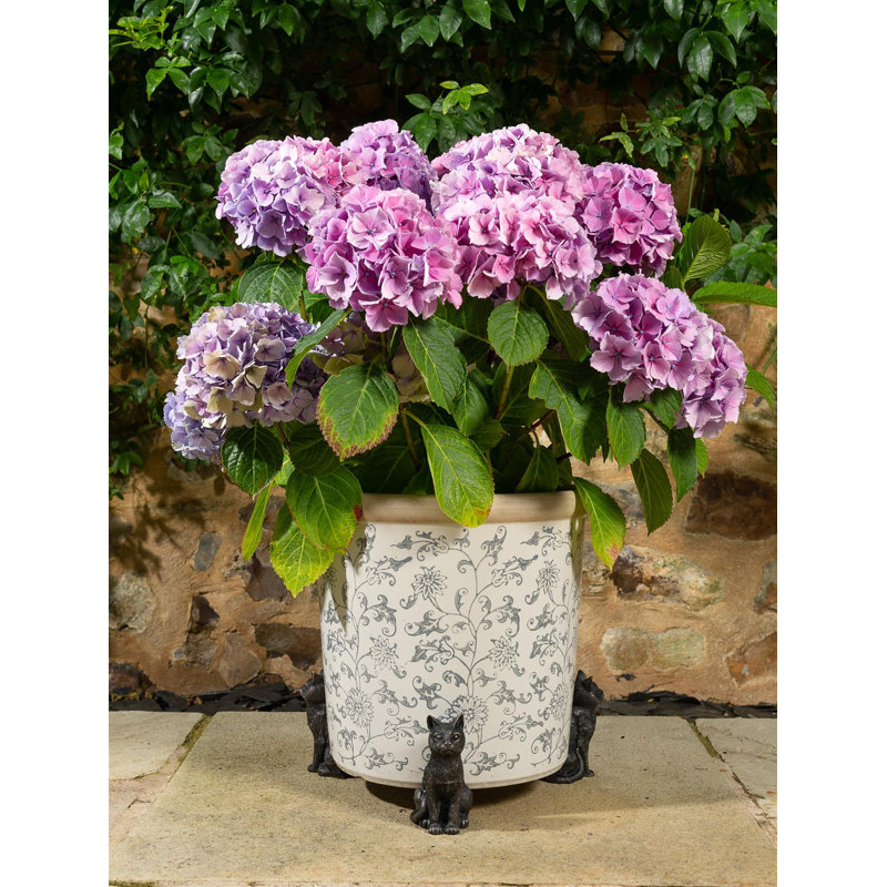 Edna Weather Resistant Planter Feet