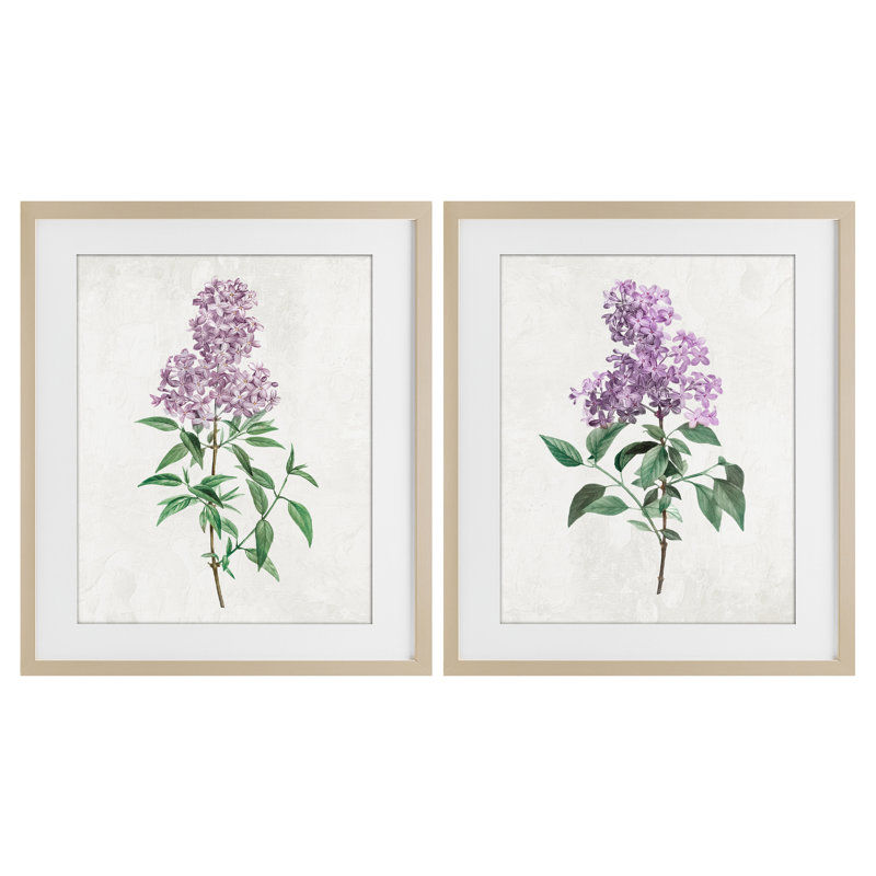 «Herbaceous Lilac Blooms», ensemble de 2 reproductions encadrées sous verre, design par Kim Allen, H 16 po x l 13 po