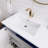 41.73228'' Single Bathroom Vanity with Acrylic Top-89141057