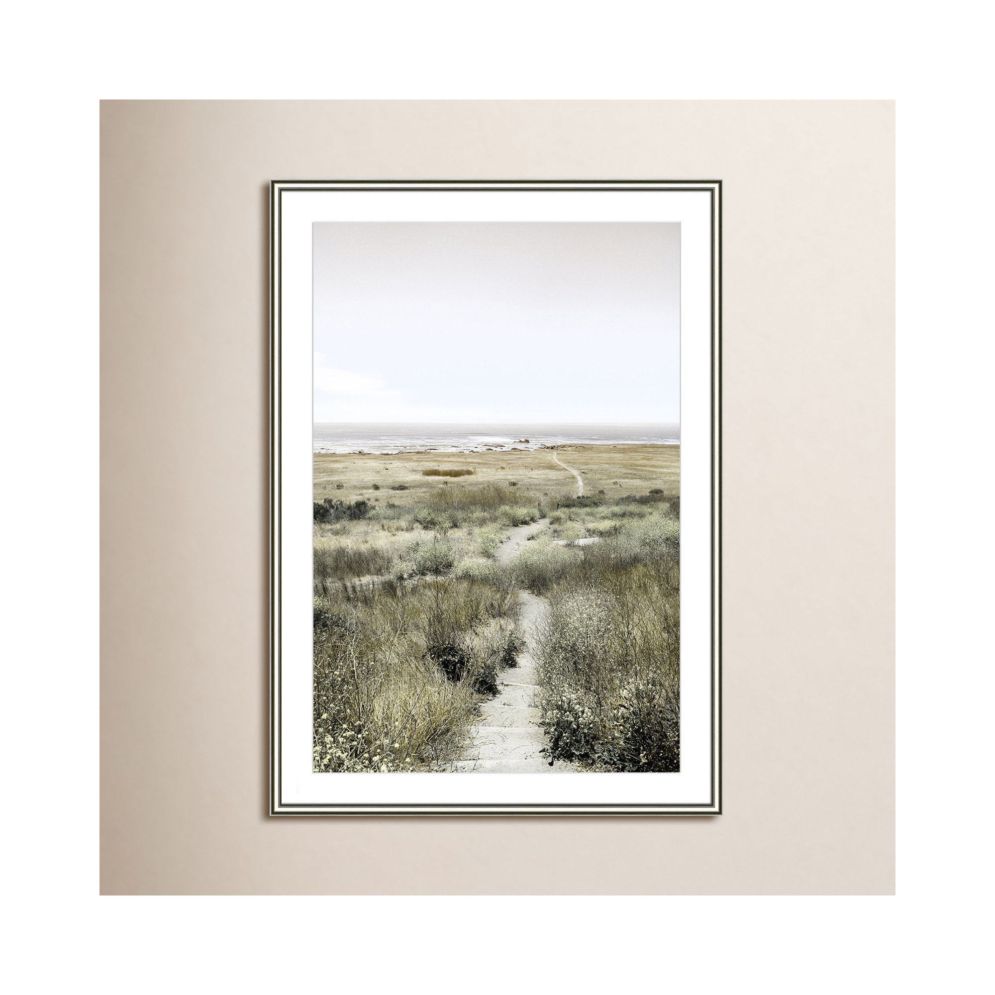 Footpath to Paradise by Danita Delimont - Picture Frame Photograph, 30.75 W x 42.75 H x 0.88 D, Silver