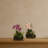 Orchid Island Silk Arrangement Set of 2