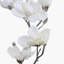 Magnolia Arrangement-545489515