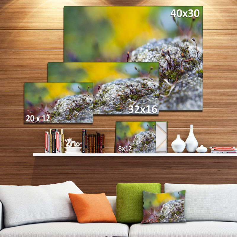 Composition abstraite de fleurs en mousse moderne, reproduction de photo sur toile tendue, H 16 po x l 32 po x P 1 po