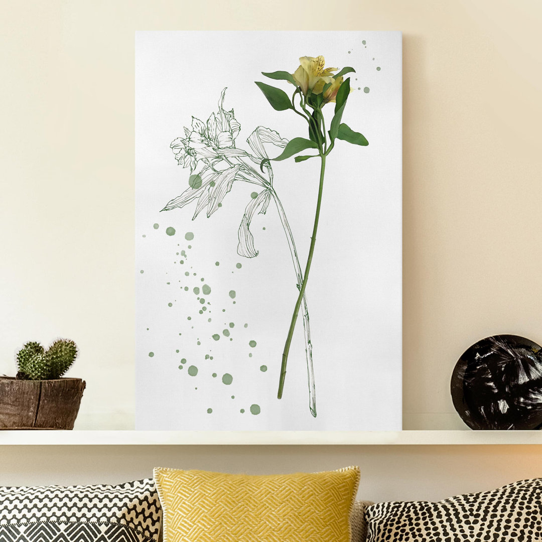 Leinwandbild Botanisches Aquarell - Lilie