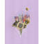 «Celestial Mirabelle» par Jenny Brown - reproduction de cadre photo-64401898