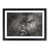 Black Framed selected