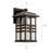 Beacon Square 14.25" 1-Light Olde Bronze Outdoor Wall Light with Clear Hammered Glass-417835418-417835421