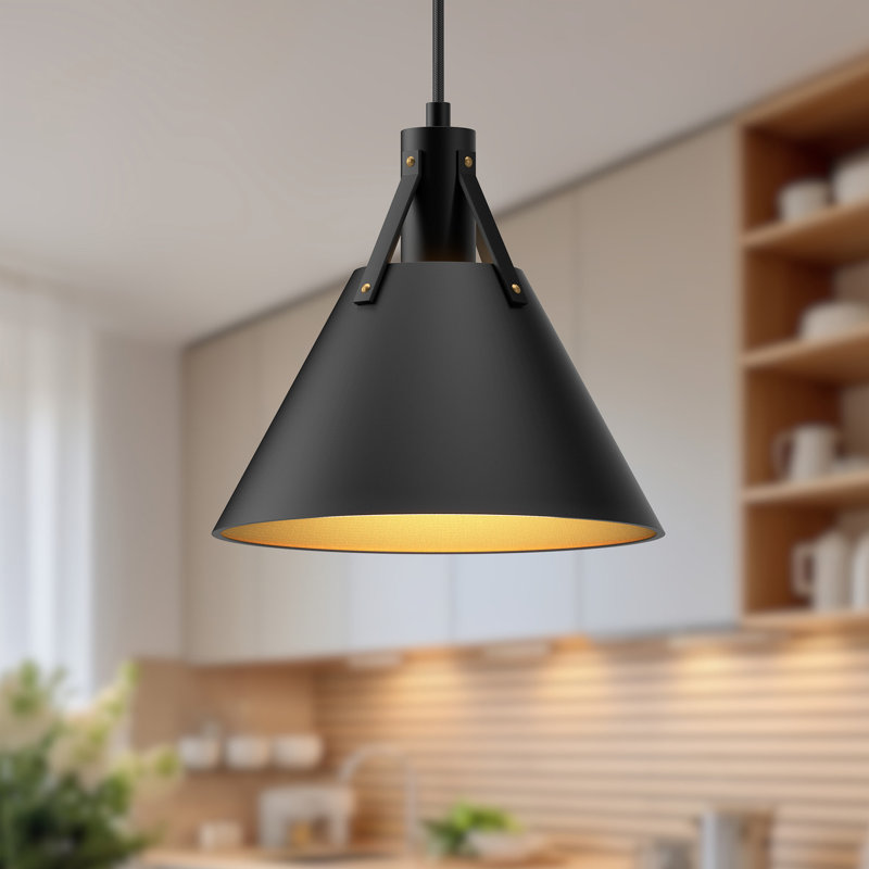 Luminaire suspendu conique à 1 lumière Archer, Noir mat