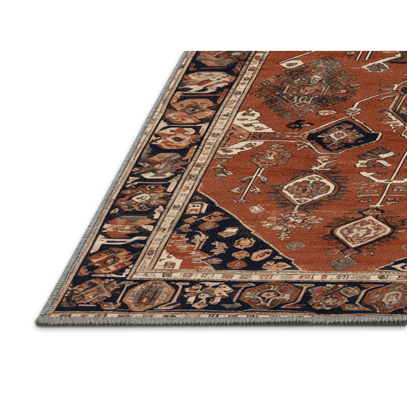 Machine Washable Turkish Brown Area Rug, Rectangle 6' x 9'