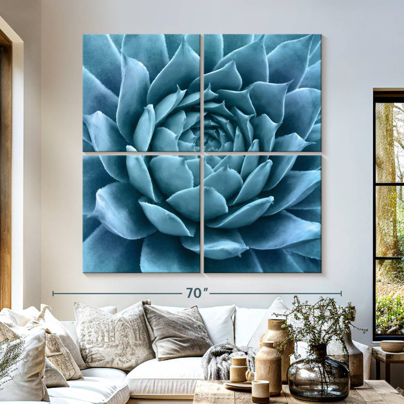 Agave bleu argenté Harnek