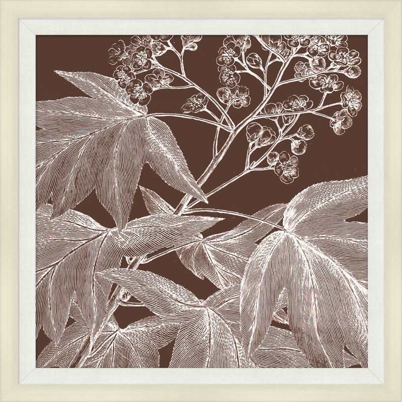 Brown Briar 4 Print
