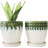 Set Of 2 Ceramic 6" Planter Pots With Drainage Saucers And Mesh Pads