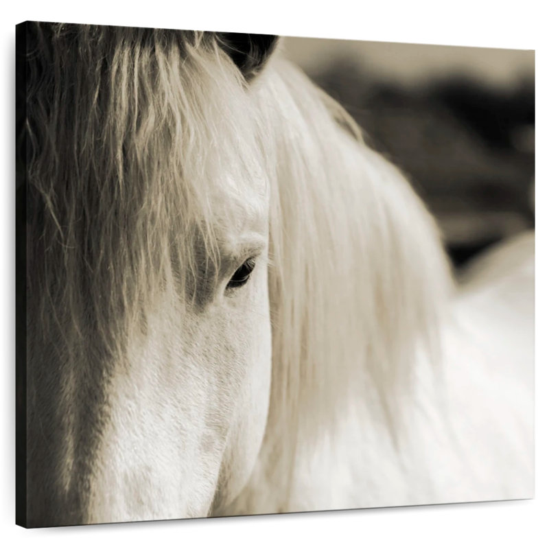 Ronce les chevaux blancs de Camargue III, H 39 po x l 39 po