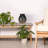 Diahann Ceramic Table Vase