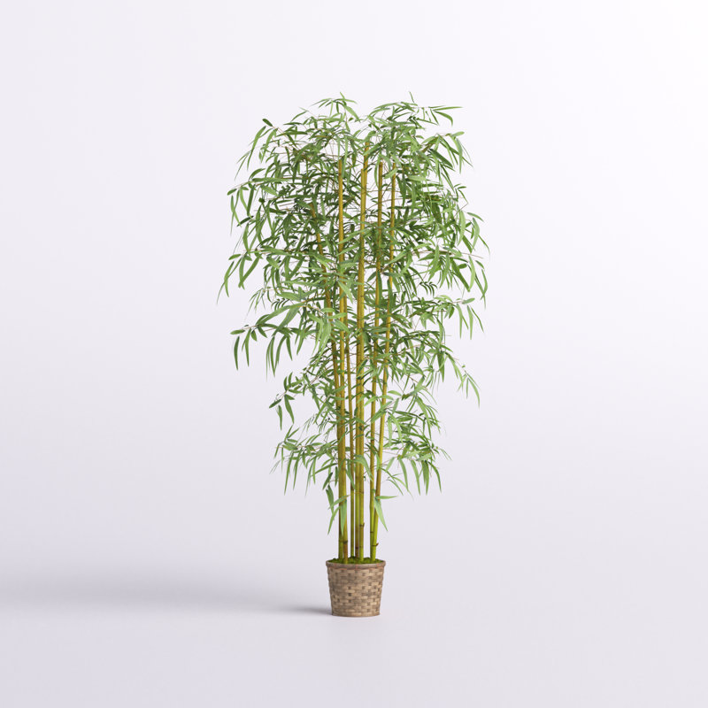 Silk Bamboo Tree in Basket