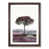 Walnut Framed