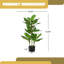 42 "plante artificielle avec pot de Daffenbachia - vert