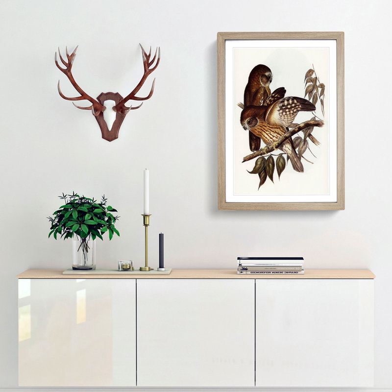 Boobook Owls by Elizabeth Gould - Picture Frame Painting Print, 65cm H x 48cm W x 2cm D, Oak Framed