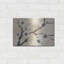 «Spring Blossoms II» par Chris Paschke-2113879323
