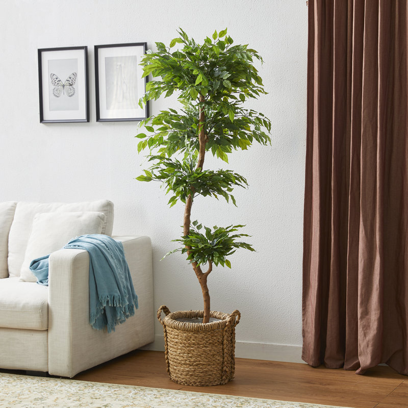 Amee 61" H Creative Shaped Faux Ficus Tree in Pot