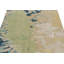 Hand-Knotted Rectangle 9' x 11'11" Cotton/Wool Area Rug in Green/Blue/Beige