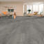Fores Wood Effect Click Laminate Flooring-Plank (7Mm),For Home (All Room) & Commercial Use-Covers 2.49Sqm-123387959