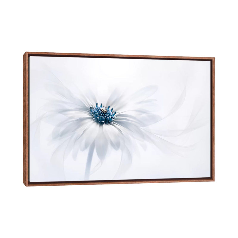 « Serenity » par Jacky Parker-reproduction de photo, Pas de tapis, H 18 po x l 26 po x P 1,5 po