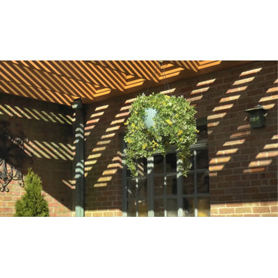 Burks Hanging Planter