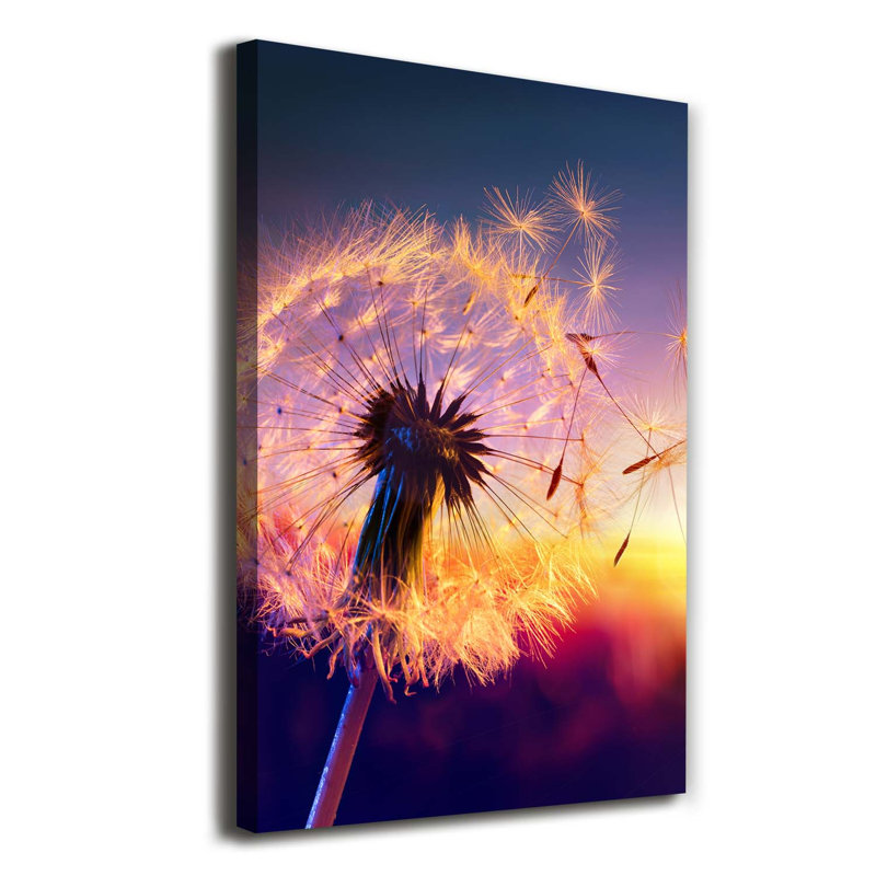 Dandelion - Wrapped Canvas Print