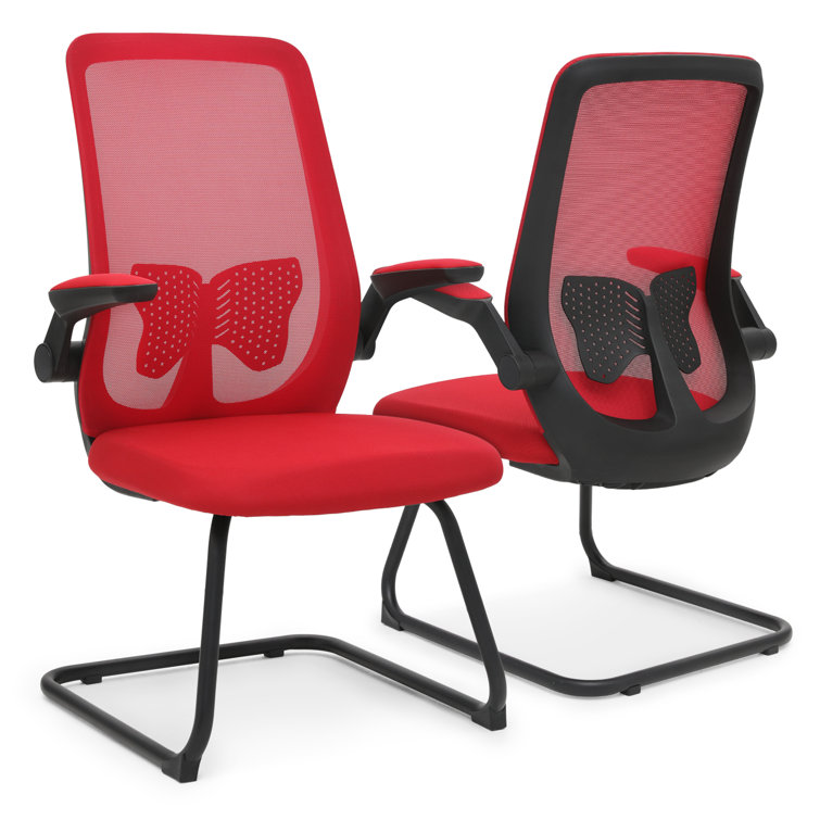 https://assets.wfcdn.com/im/41608519/resize-h755-w755%5Ecompr-r85/2565/256554362/Task+Chair%2C+Mesh+Office+Seat+with+Lumbar+Support+Backrest+%26+Flip-Up+Arms.jpg