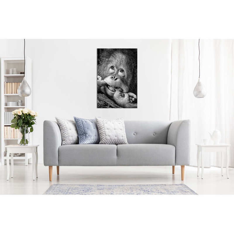 Smiling Monkey Close Up - Wrapped Canvas Art Prints, 31cm H x 20cm W