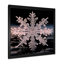 Cristal flocon de neige tranquillité II - paysage d'hiver-2004344197-2004344195