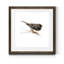 Mixed signaux IV-reproduction d’art sur papier encadrée-925224888-925224891