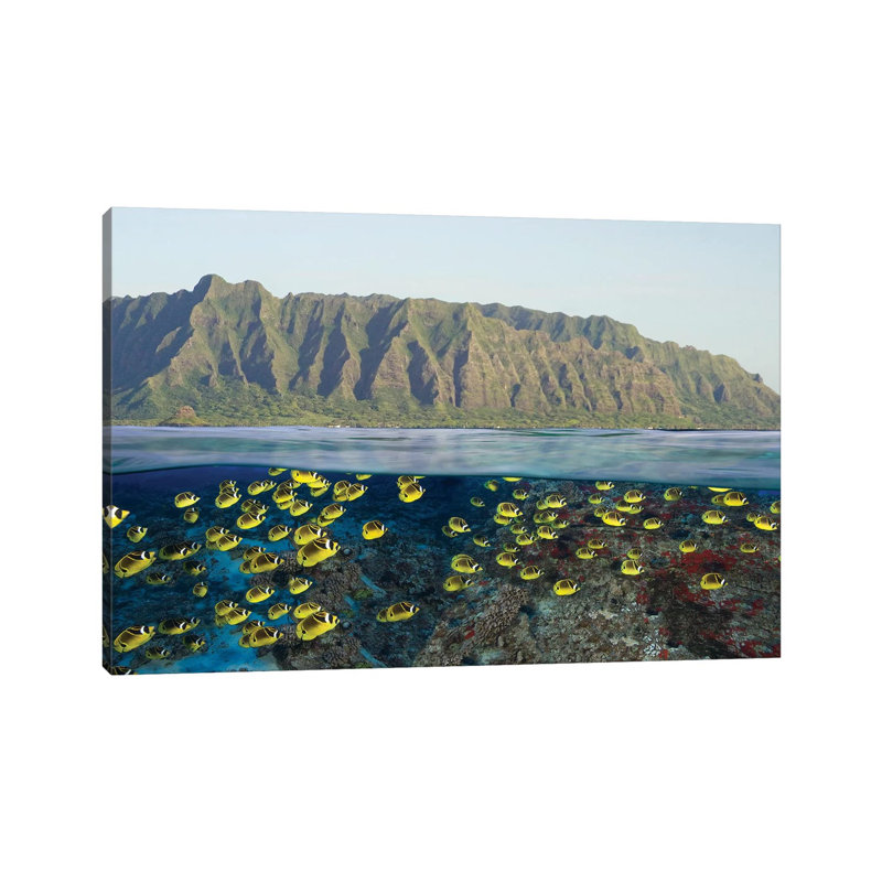 Digital Split Image Of Schooling Raccoon Butterflyfish Off Oahu - Wrapped Canvas Print, 20.32 cm H x 30.48 cm W
