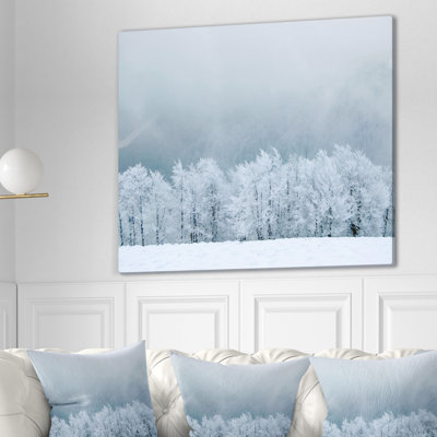 " Forest In Winter Season "