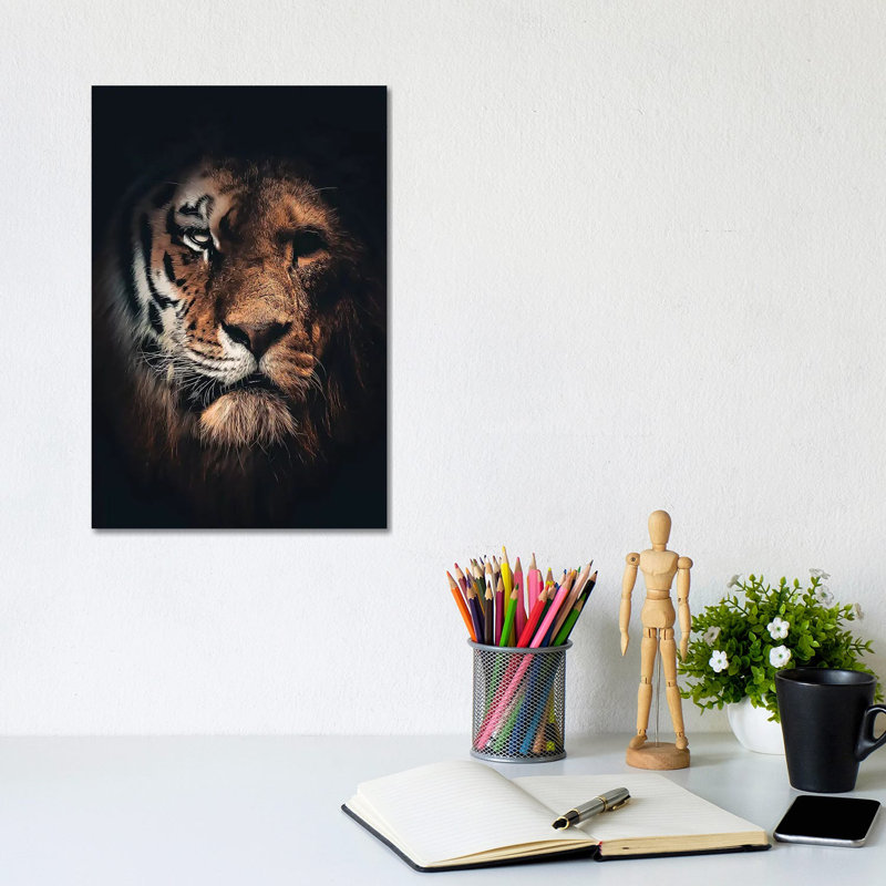 Half Tiger Half Lion 1 Piece Wall Art on Canvas, 20.32 cm H x 30.48 cm W, Wrapped Canvas