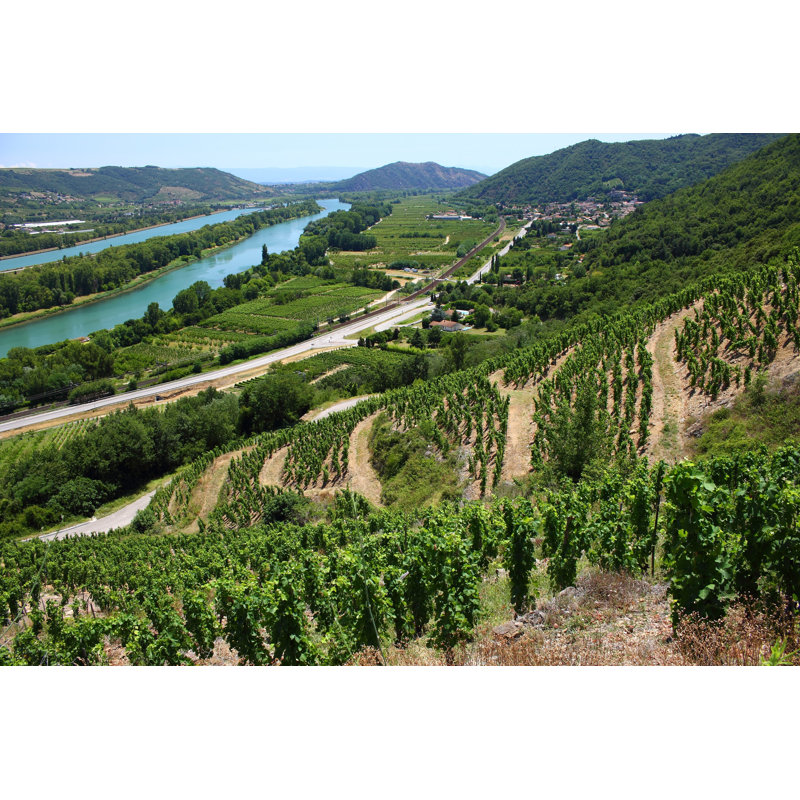 Fogel Vineyard Rhone Valley 1 Piece Wrapped Canvas Wall Art, 30cm H x 46cm W 3.8cm D