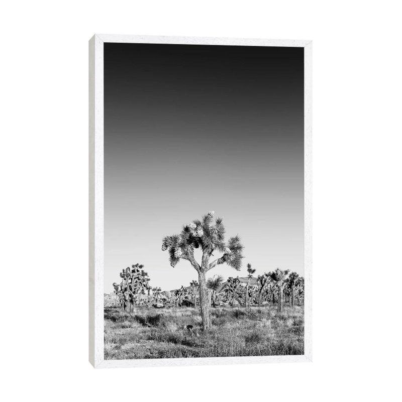 Joshua Trees Monochrome by Melanie Viola - Print on Canvas, 66.04cm H x 45.72cm W x 3.81cm D, White Framed