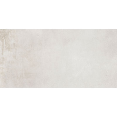 Caementum Series 24"x48"