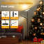 Denija 175cm Torchiere Floor Lamp