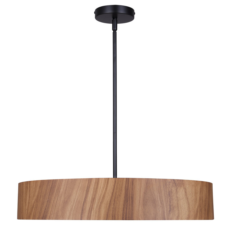 Advait Angilia 4 - Light Drum Pendant