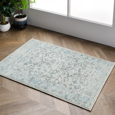 Askel Floral & Paisley Area Rug for Living Room Bedroom Dining Room Kitchen, Aqua/Ivory
