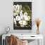 Harnek Magnolia-108669705