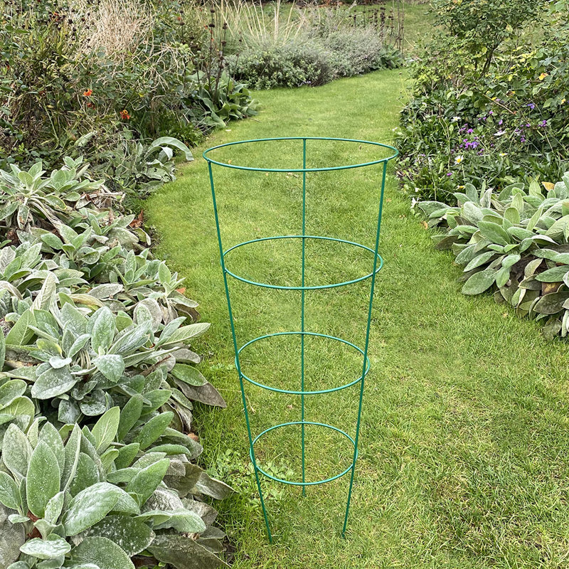 Aieden Metal Weather Resistant Plant Support, 75 x 32 x 32 cm