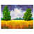 Toile tendue