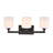 3 - Light Vanity Light